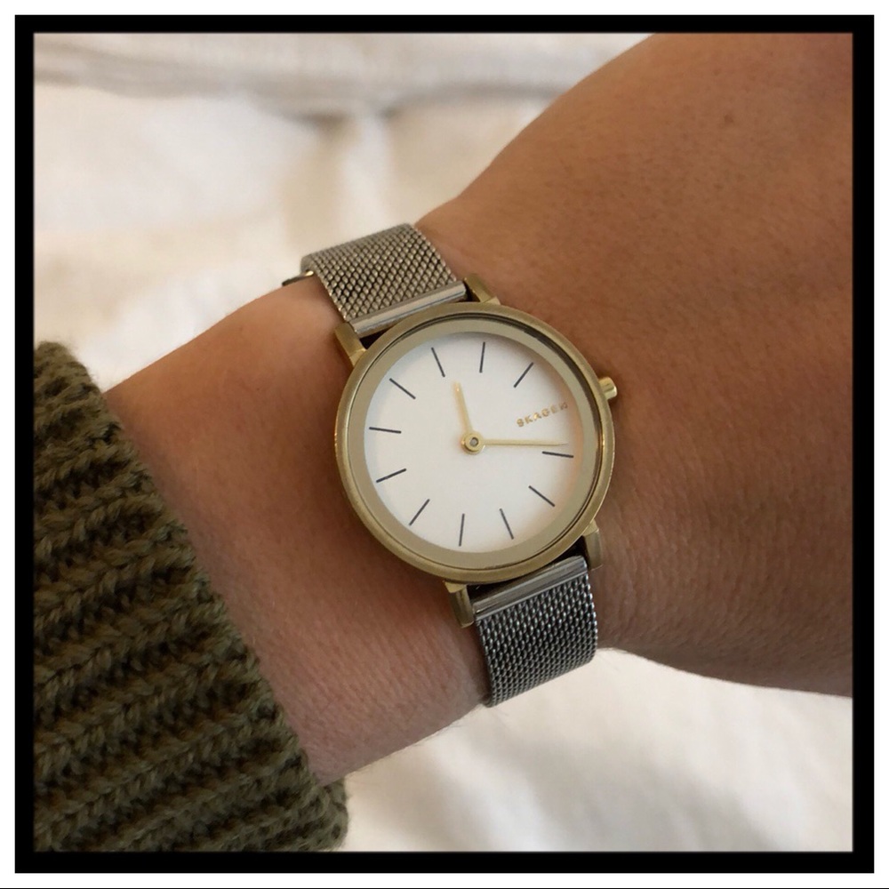 [skagen] Hald Mesh Strap 26mm